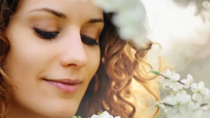 Ilustrasi/Pixabay.com