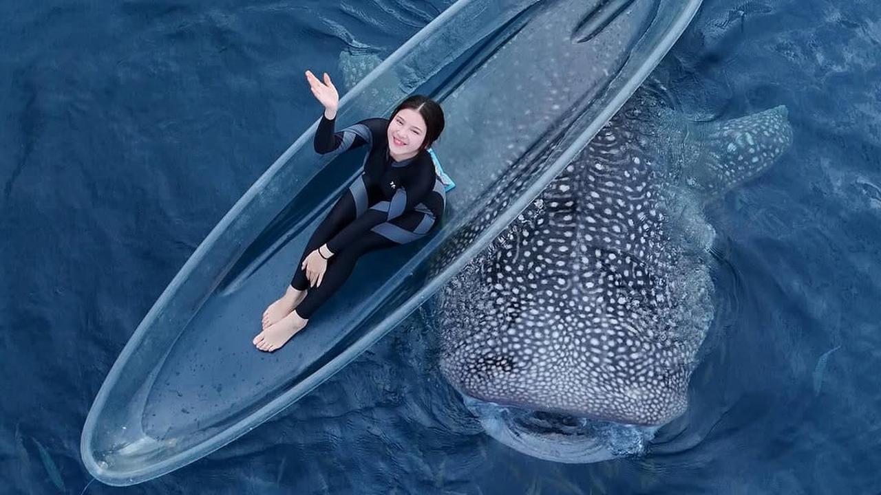 Potret Tiara Andini Berenang Bareng 2 Hiu Paus di Gorontalo. (instagram/tiaraandini)