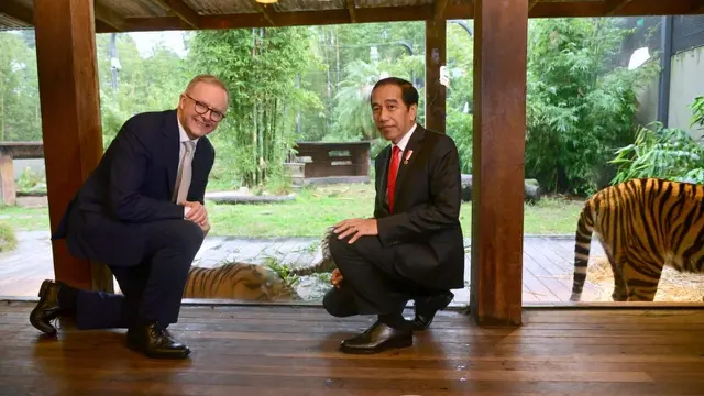 Kunjungan Presiden Jokowi dan PM Albanese ke Sumatran Village