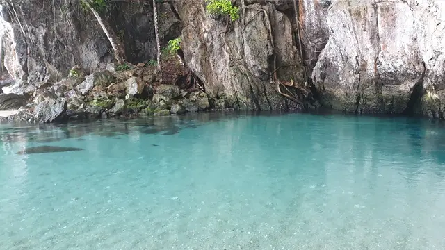 Mengintip Keindahan Sungai Terpendek Dunia yang Ada di Sulawesi