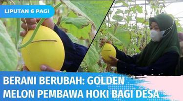 Melon pembawa keberuntungan untuk satu desa. Golden Melon ini berhasil membangkitkan perekonomian desa di Lombok Barat melalui agrowisata. Warga desa pun bekerja sama untuk memadukan budaya lokal dengan teknologi pertanian masa kini untuk mengembangk...