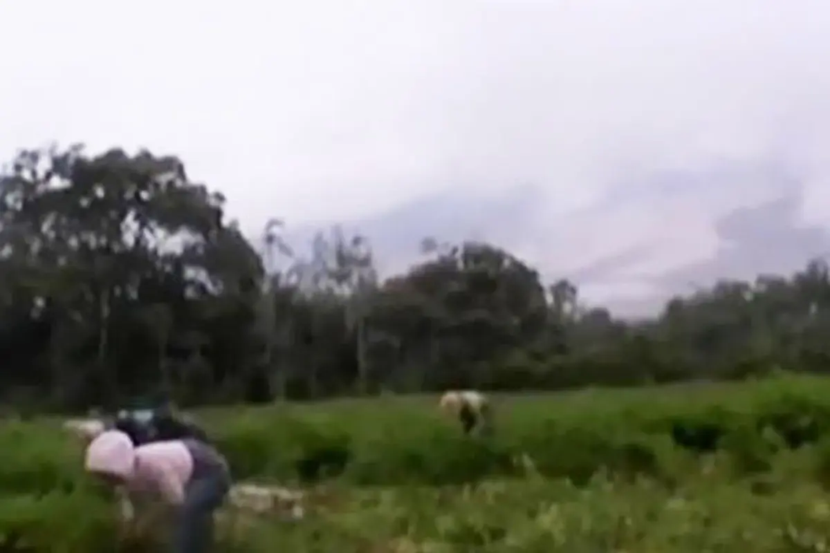 (Lip6 Siang) Gunung-Sinabung