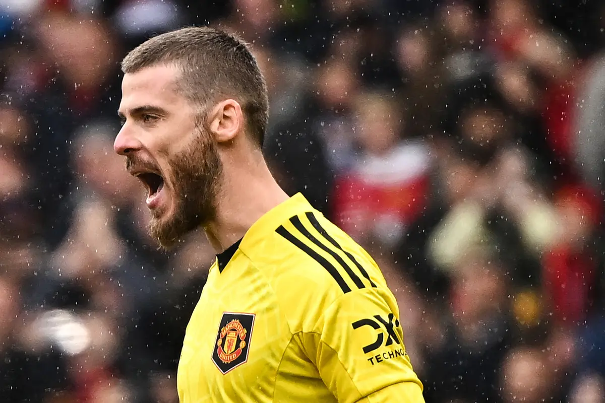 David de Gea - Manchester United - Liga Inggris