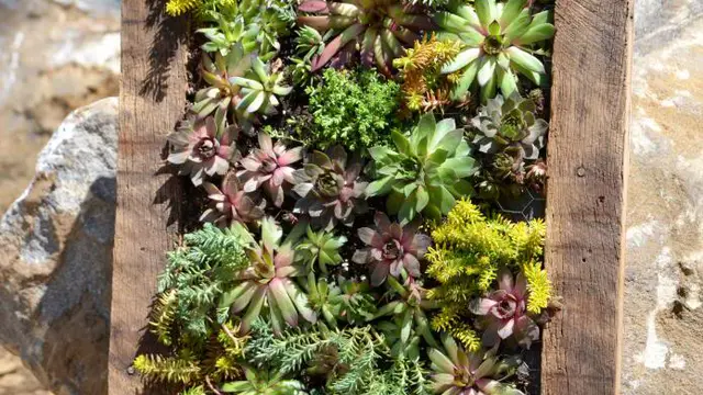 Taman Vertikal Unik yang Hemat Ruang