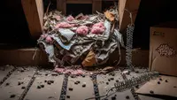 7 Tanda Ada Sarang Tikus di Atap Rumah, Segera Atasi Sebelum Merusak Properti