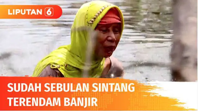 Setelah sebulan, banjir di Kabupaten Sintang, Kalimantan Barat, baru mulai surut. Namun banjir masih mengancam karena permasalahan inti penyebab banjir hingga kini belum ditanggulangi.