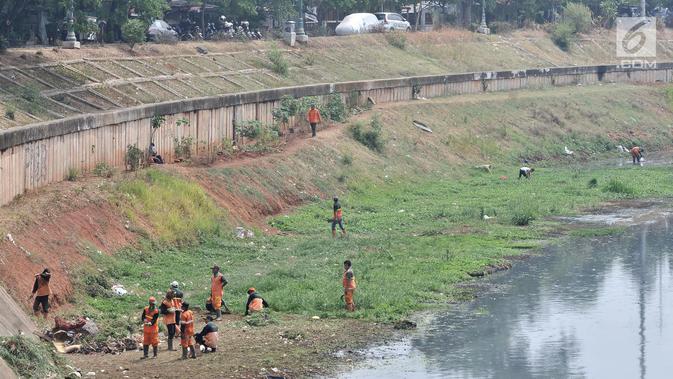 Petugas PPSU dan Sudin Tata Air Jakarta Timur membersihkan sampah dan tanaman liar di sepanjang aliran Kanal Banjir Timur (KBT), Senin (15/10). Banyak sampah yang bermunculan ke permukaan akibat debit air surut. (Merdeka.com/ Iqbal S. Nugroho)