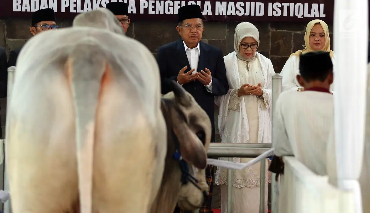 Wapres Jusuf Kalla didampingi Istri, Mufidah Kalla berdoa bersama saat menyerahkan Hewan Kurban sapi ke pengurus Masjid Istiqal, Jakarta, Jumat (1/9). Sapi tersebut beratnya 1,5 Ton untuk Presiden dan 1,3 Ton Wakil Presiden. (Liputan6.com/JohanTallo)