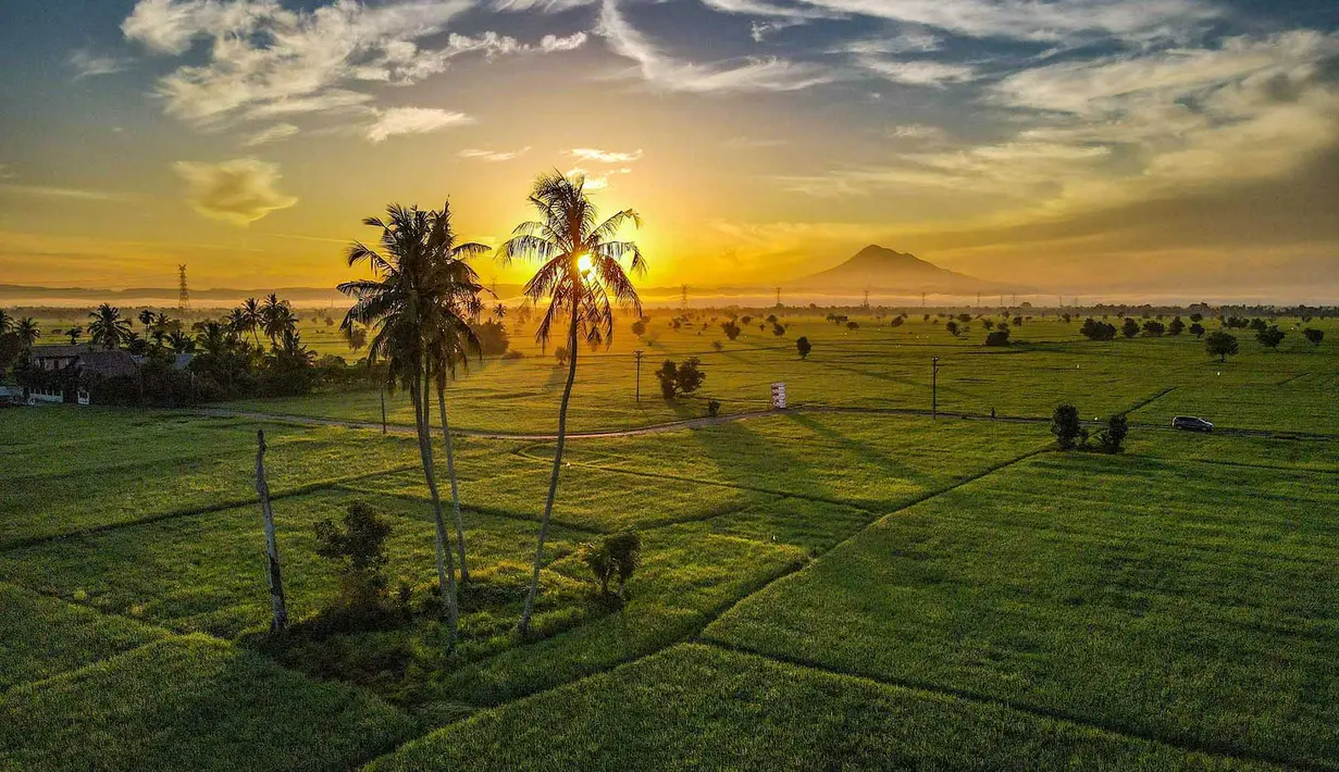 Foto udara pemandangan sawah saat matahari terbit di Samahani, Provinsi Aceh, Jumat, 24 Juli 2026. (AFP/ Chaideer Mahyuddin)