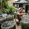 Kenapa Ternak Lele di Galon Bekas Cepat Mati? Ini Penyebab yang Sering Tidak Disadari