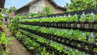 7 Desain Kebun Mini di Pagar Rumah Pakai Botol Plastik yang Mudah Dibuat