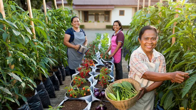 Ide Kebun Sayur untuk Paguyuban Ibu-ibu Paroki (AI)