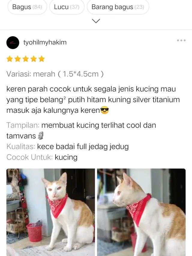 6 Ulasan tentang Aksesori Hewan di Toko Online Ini Kocak,