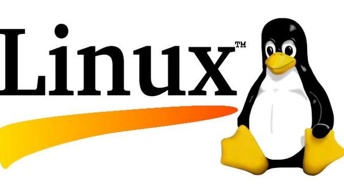 Waspada, Virus Pencuri Data Mulai Serang Server Linux ...