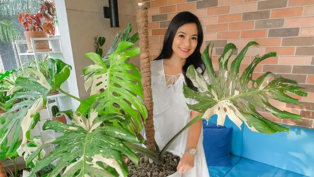Kebun Titi Kamal di Rumahnya