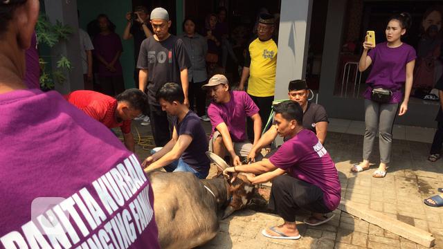 [Bintang] Suasana Penyembelihan Hewan Qurban di Rumah Ayu Ting Ting