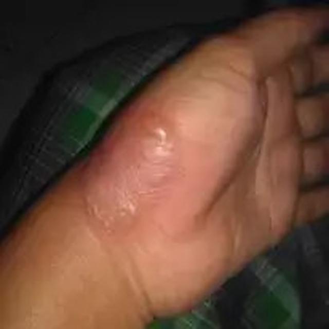 6 Momen Apes ketika Memasak dengan Atraksi Ini Bikin Ngakak