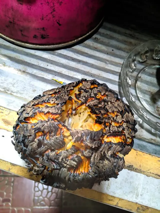6 Momen Apes Masak Mi Sampai Gosong Ini Bikin Kecewa