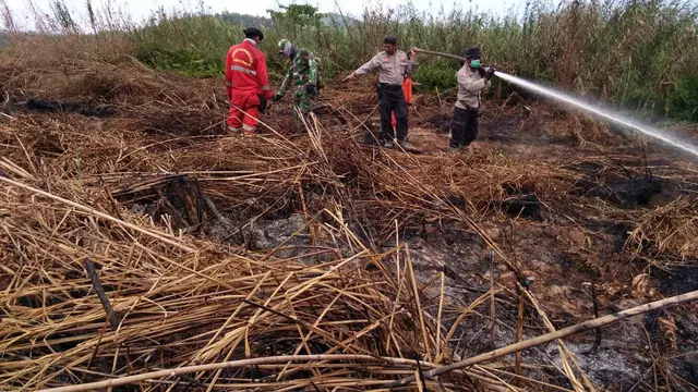 Tim gabungan Manggala Agni dan TNI Polri, bersama memadamkan api di lahan gambut Kolaka Timur.(Liputan6.com/Ahmad Akbar Fua)
