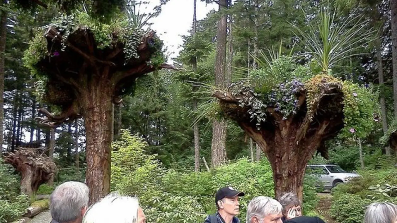 Lihat Koleksi Tanaman Cantik Terbalik Hanya di Glacier Garden