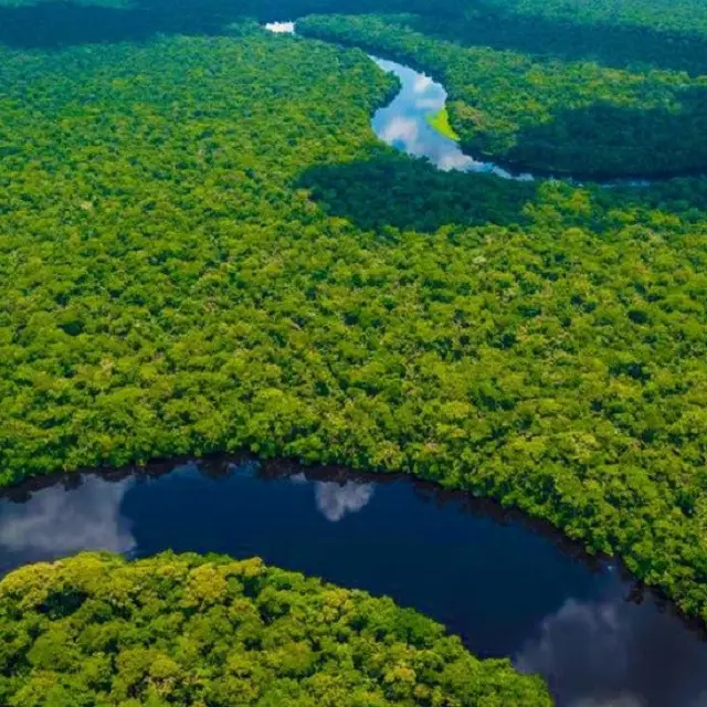 Taman Nasional Salonga