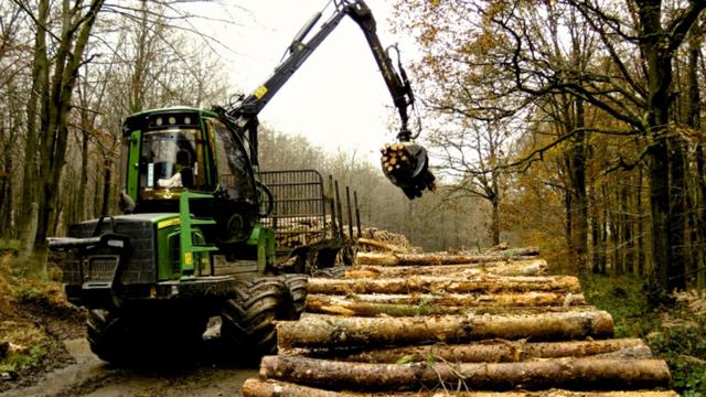Mesin Canggih Ini Bisa Bikin Hutan 'Gundul'!
