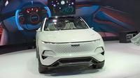 Mobil konsep pabrikan Tiongkok tampil di Auto Expo 2020. (Cardekho)