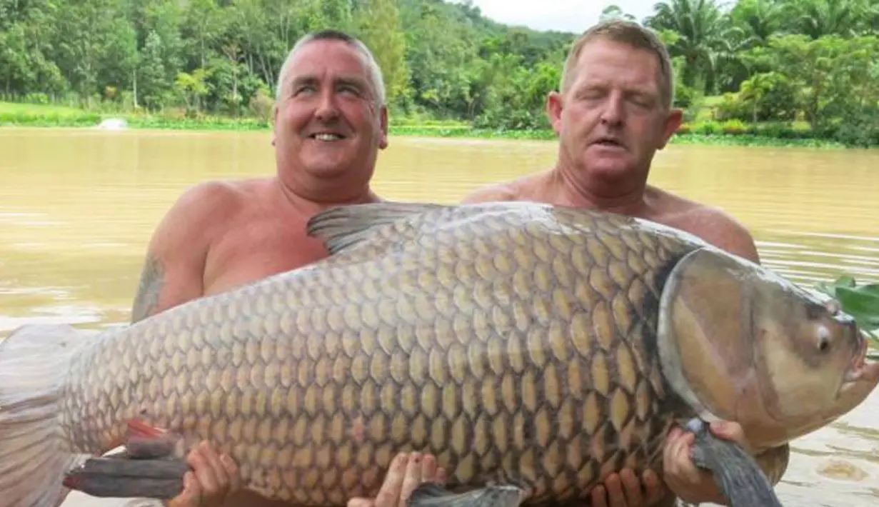 Mimpi mendapat ikan dipercaya oleh sebagian masyarakat Indonesia sebagai pertanda baik. Konon jika mimpi mendapat ikan akan mendapat rezeki berupa uang. (fisharound)
