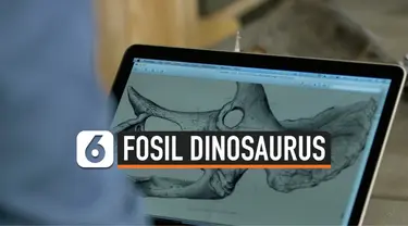 fosil dinosaurus