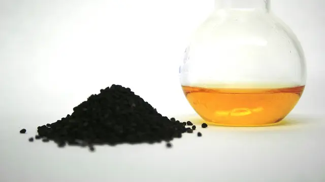 Ilustrasi Jintan Hitam