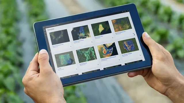 IBM meluncurkan perangkat lunak berbasis AI untuk Environmental Intelligence yang dapat membantu perusahaan menangani tujuan sistem keberlanjutan dan risiko iklim (Dok. IBM Indonesia)