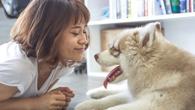 copyright by Pexels.com