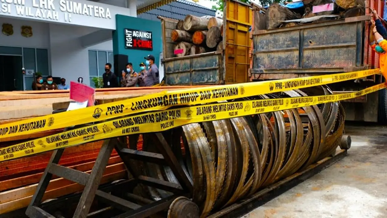 Barang bukti ilegal logging sitaan Polda Riau beberapa waktu lalu.