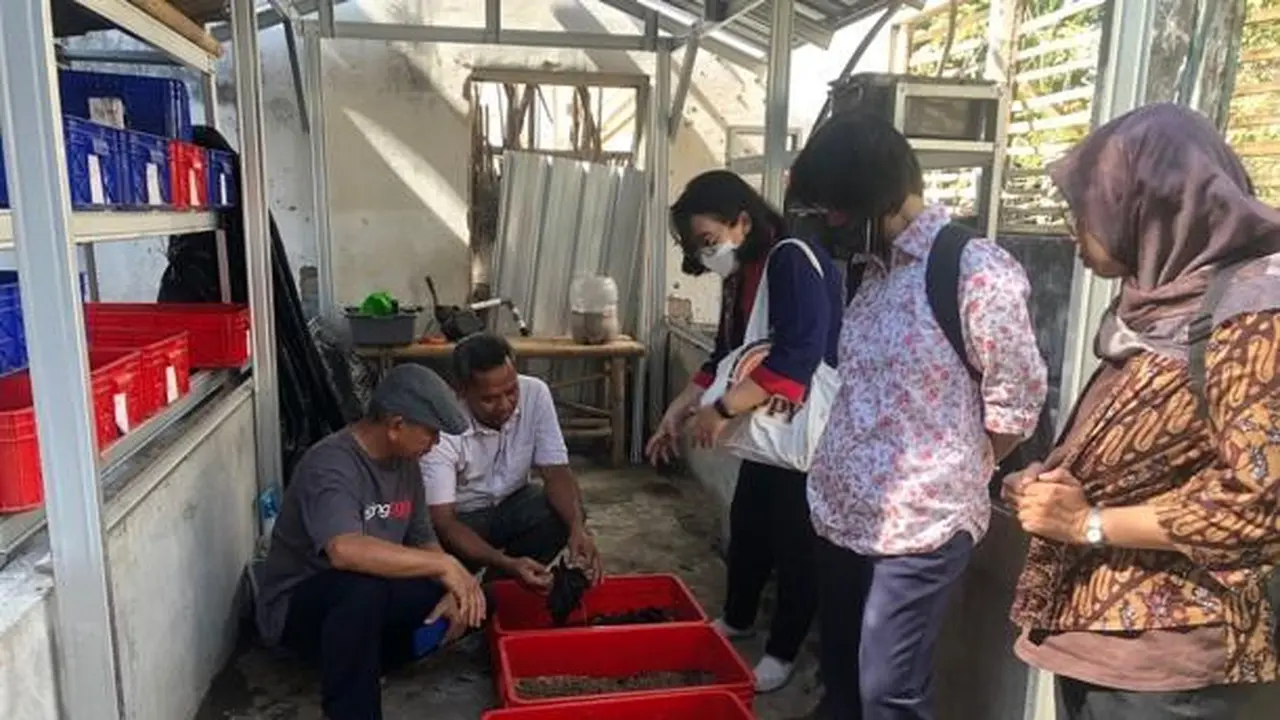 Pelatihan pengembangan maggot oleh dosen USD di Kampung Wisata Kali Gajah Wong. (Istimewa)