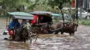 Penumpang menggunakan jasa delman untuk menembus banjir di kawasan Kelapa Gading, Jakarta, Selasa (10/2). Hujan yang mengguyur Jakarta sejak Minggu (8/2) lalu mengakibatkan sejumlah jalan banjir dan tak bisa dilalui kendaraan. (Liputan6.com/Faizal Fanani)