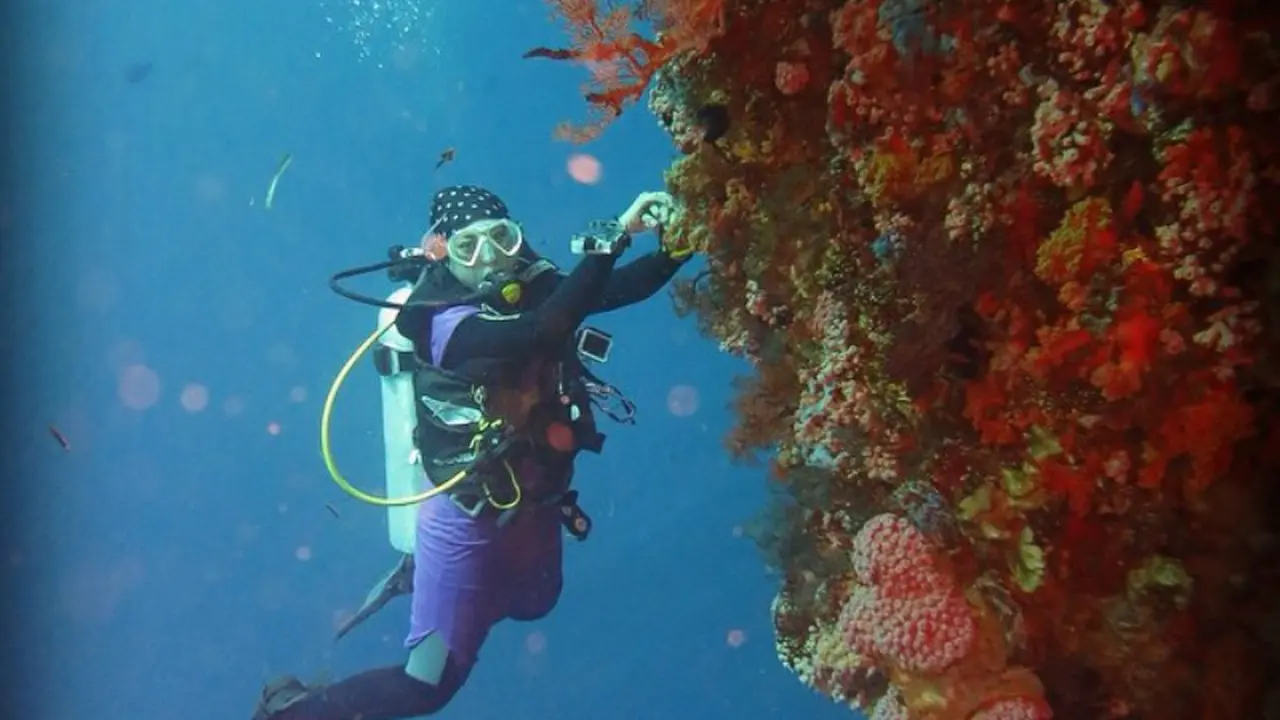 taman laut selat pantar alor