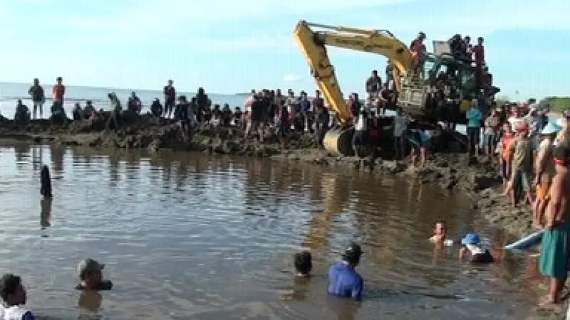 Apa Hasil Penggalian Harta Karun Gaib di Tepi Pantai?