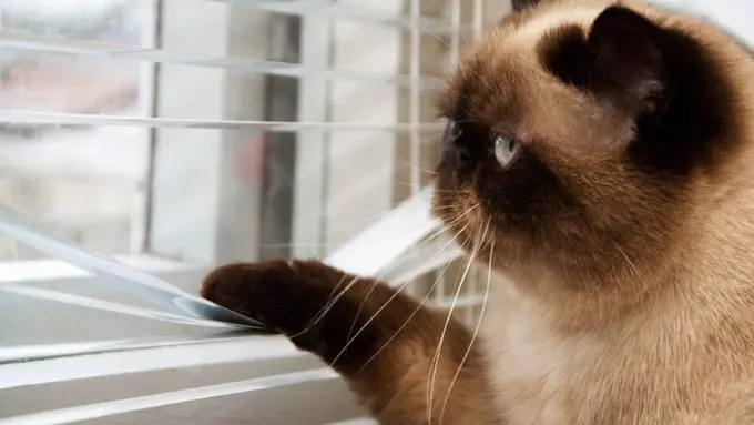 9 Hal Nyata yang Dirasakan Para Anak Tunggal