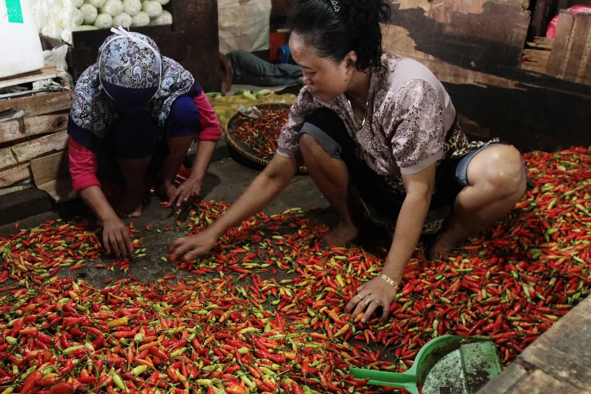 Harga-Cabai-dan-Bawang