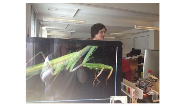 Tampilan Wallpaper Desktop