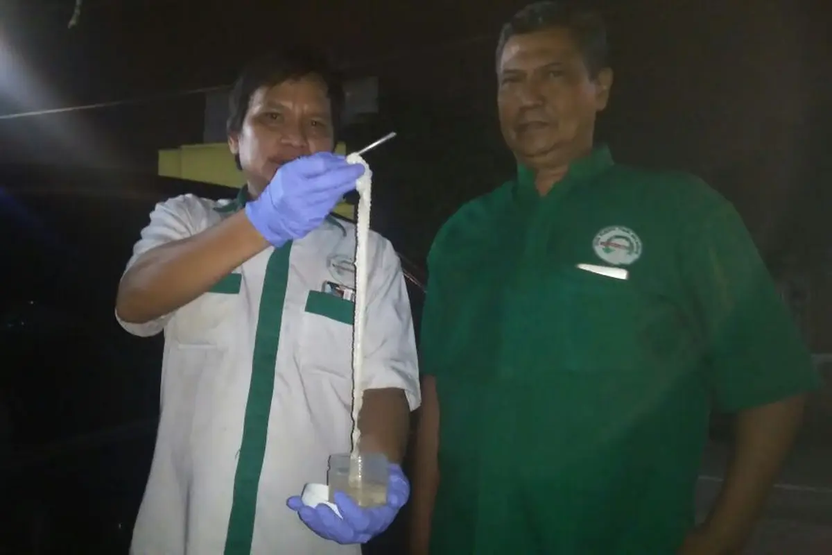 171 Kasus Cacing Pita di Simalungun, 3 Kampus dari Jepang Ikut Turun Lapang