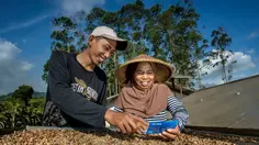 Global Finance Nobatkan BRI sebagai Bank Terbaik Dunia untuk UMKM Pertanian dan Pedesaan