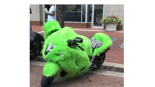 6 Potret Motor Berbulu Ini Jadi Pusat Perhatian di Jalan Raya, Nyentrik
