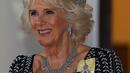 Camilla memadankan perhiasan spesial itu juga dengan anting-anting berlian berukuran besar serta kalung yang cocok. (Photo by ADRIAN DENNIS / AFP)