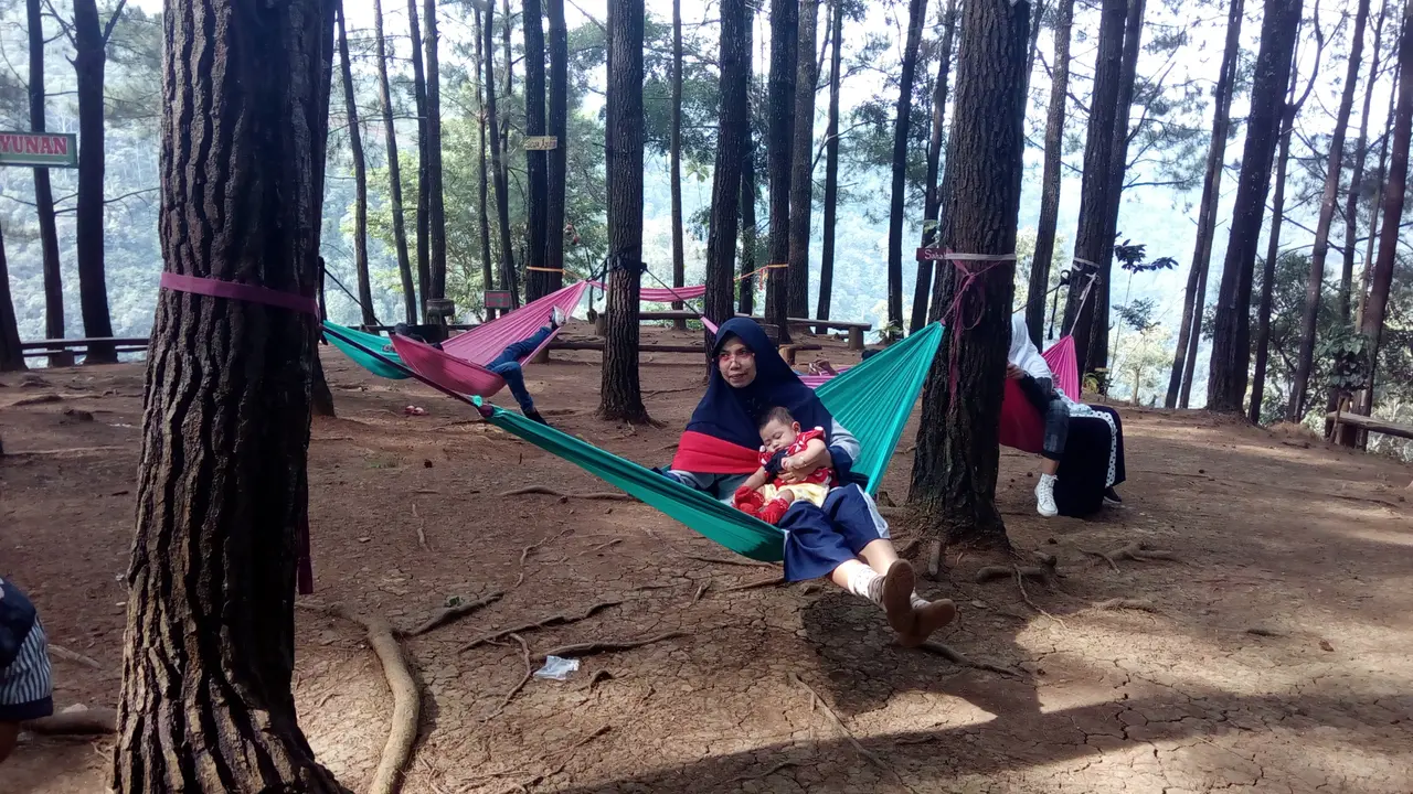 Para pengunjung tengah menikmati ayunan di atas fasilitas ayunan yang tergantung di dantara pepohonan pinus hutan Oko, Selaawi Garut