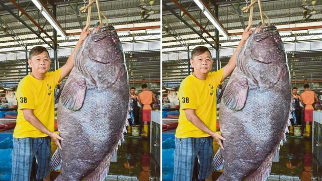 Pasar Ikan Mendadak Heboh Nelayan Bawa Seekor Kerapu 2 Meter Citizen6 Liputan6 Com