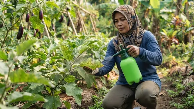 Gunakan Pestisida Nabati yang Lebih Ramah Lingkungan (AI Generated)