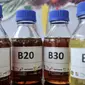 Sampel biodiesel B0, B20, B30, dan B100 dipamerkan saat uji jalan Penggunaan Bahan Bakar B30 untuk kendaraan bermesin diesel di Kementerian ESDM, Jakarta, Kamis (13/6). (merdeka.com/Iqbal S. Nugroho)