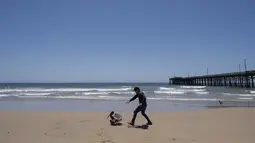 Penjaga pantai menemukan sekelompok dua lusin pelikan yang sakit awal pekan ini di sebuah dermaga di pesisir Pantai Newport dan memanggil para ahli satwa liar untuk membantu. (AP Photo/Jae C. Hong)