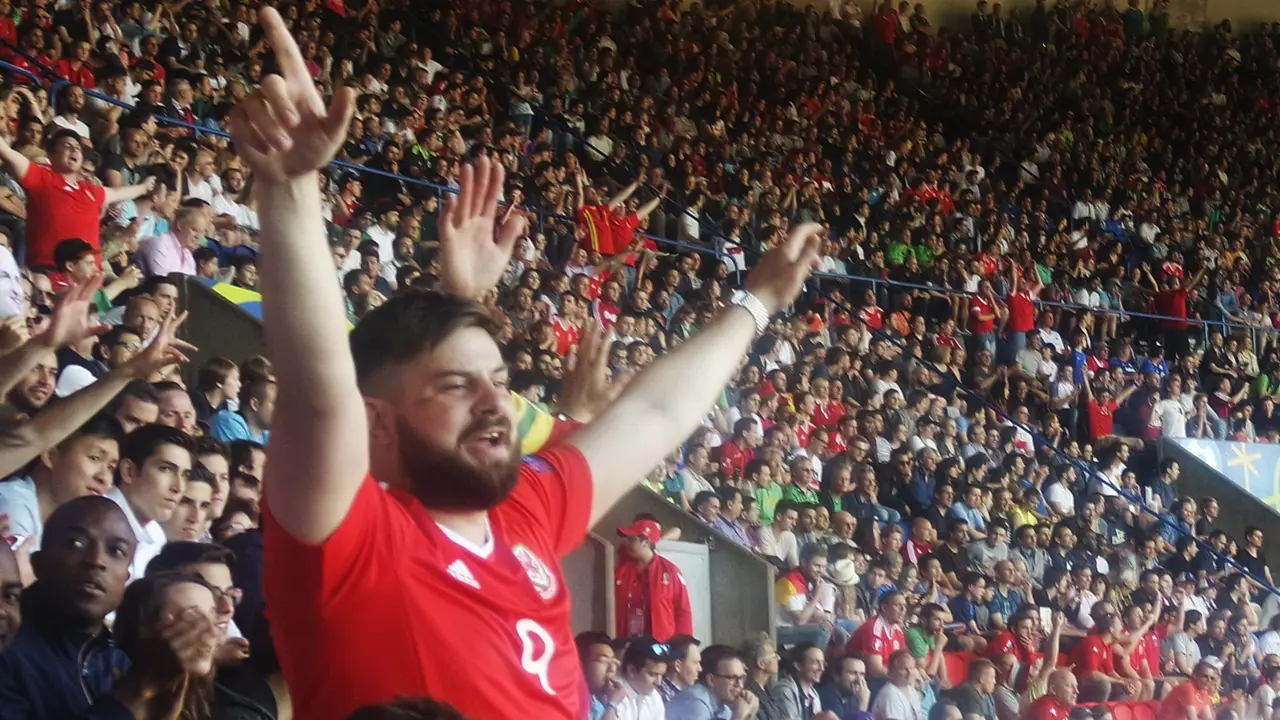 Suporter Wales